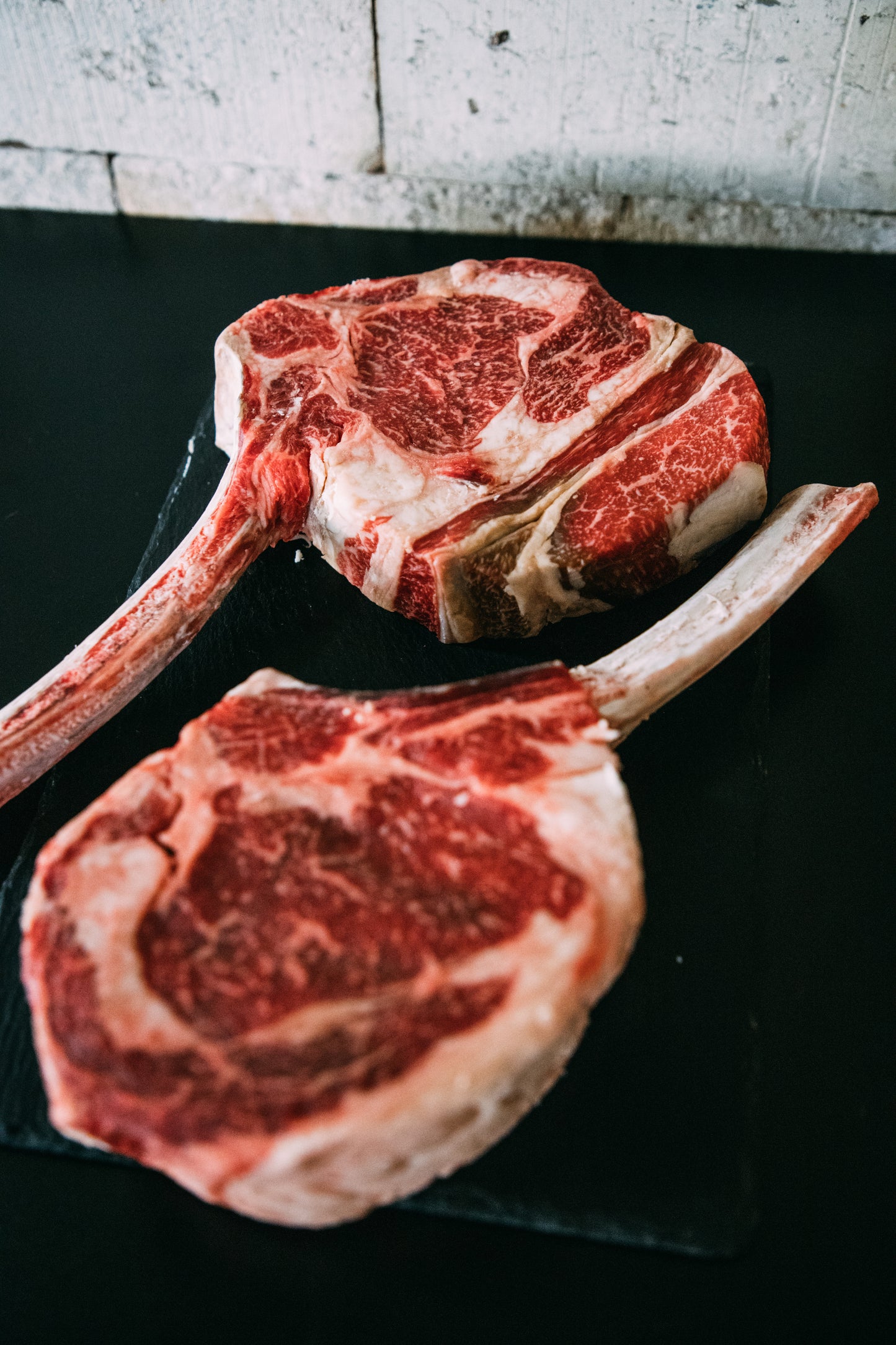 Tomahawk MUUH