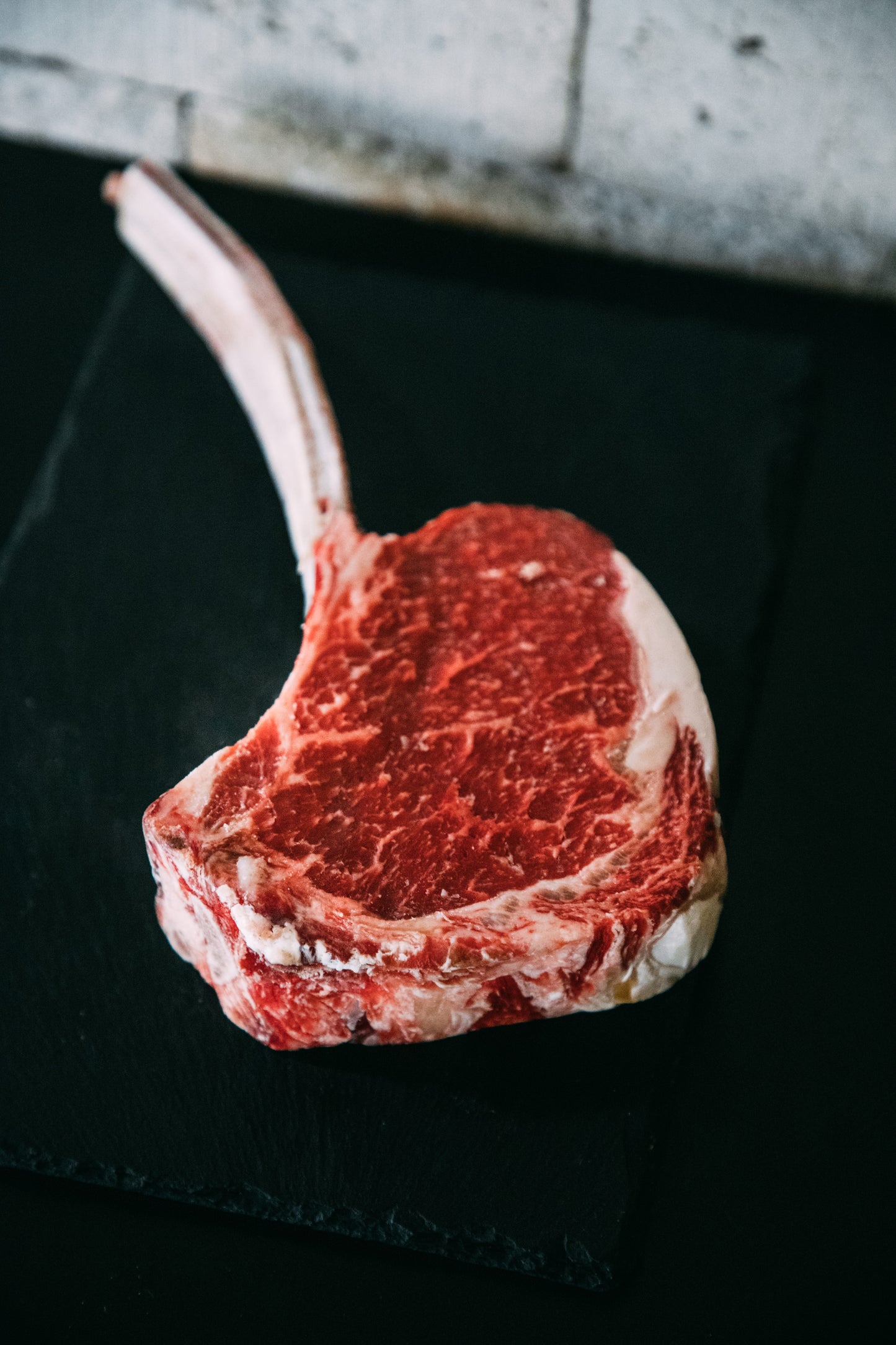 Tomahawk MUUH