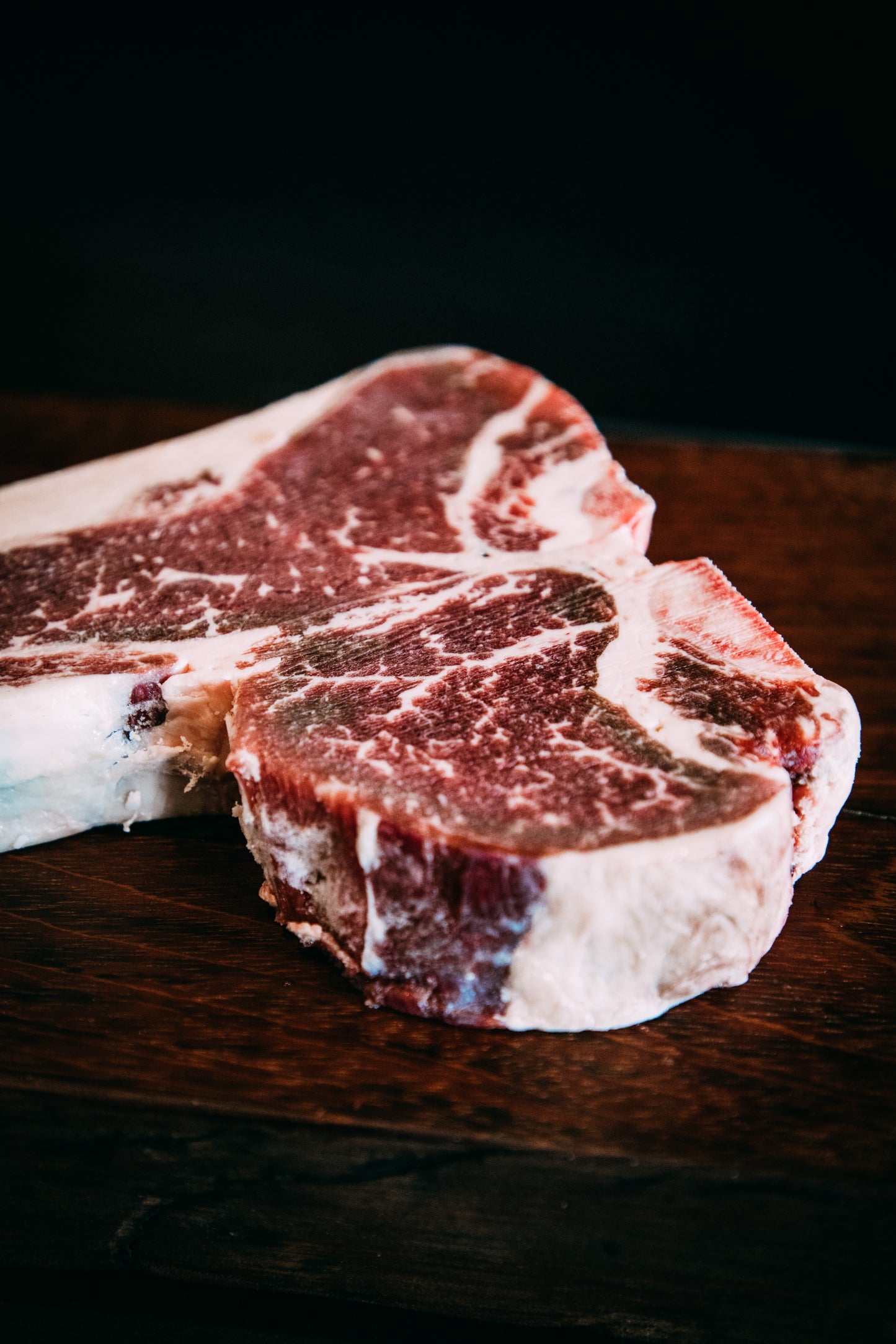 T-Bone MUUH