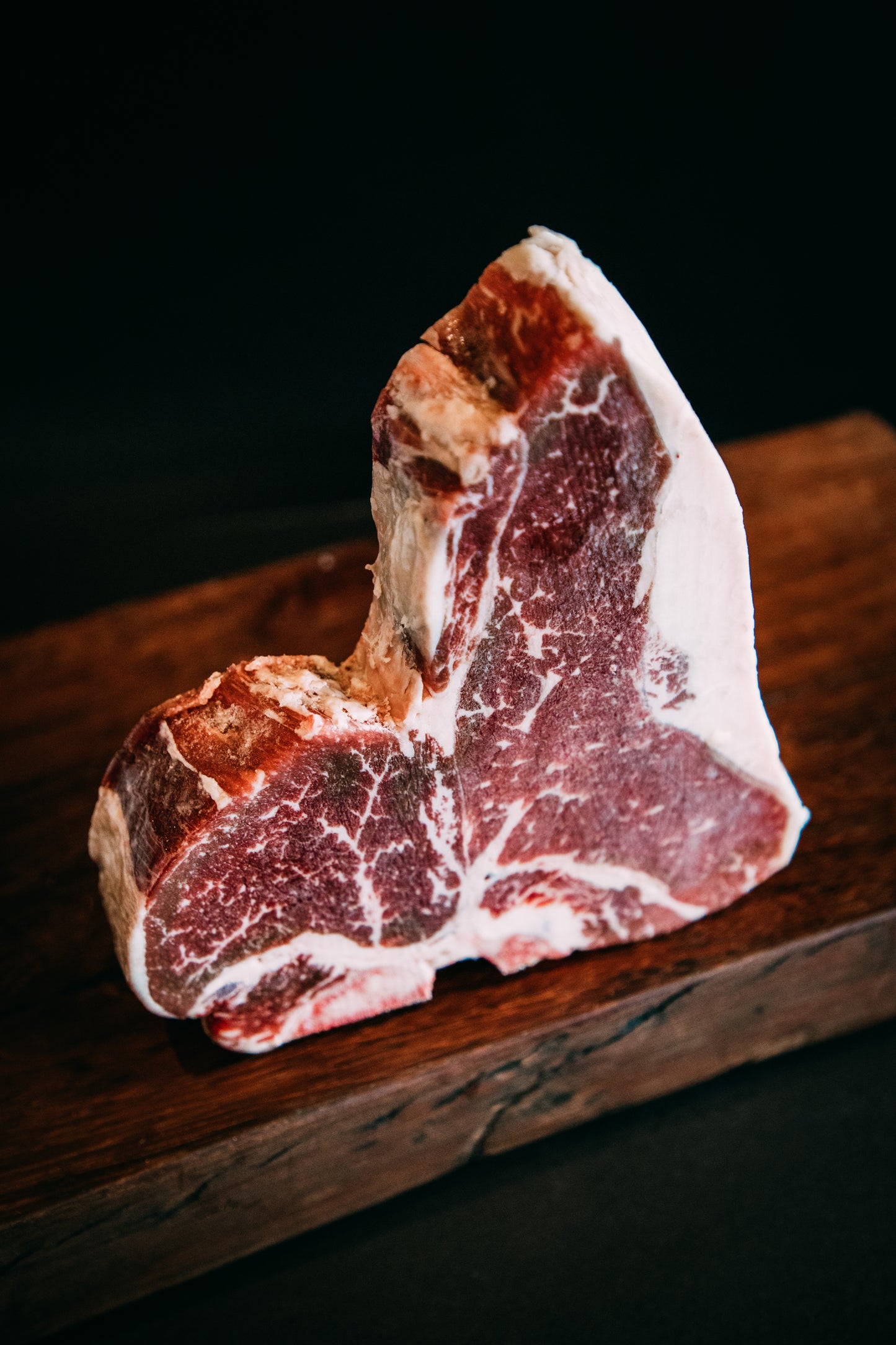 T-Bone MUUH