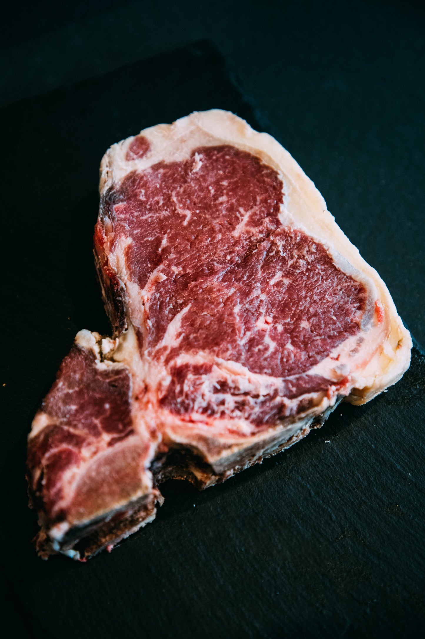 T-Bone MUUH