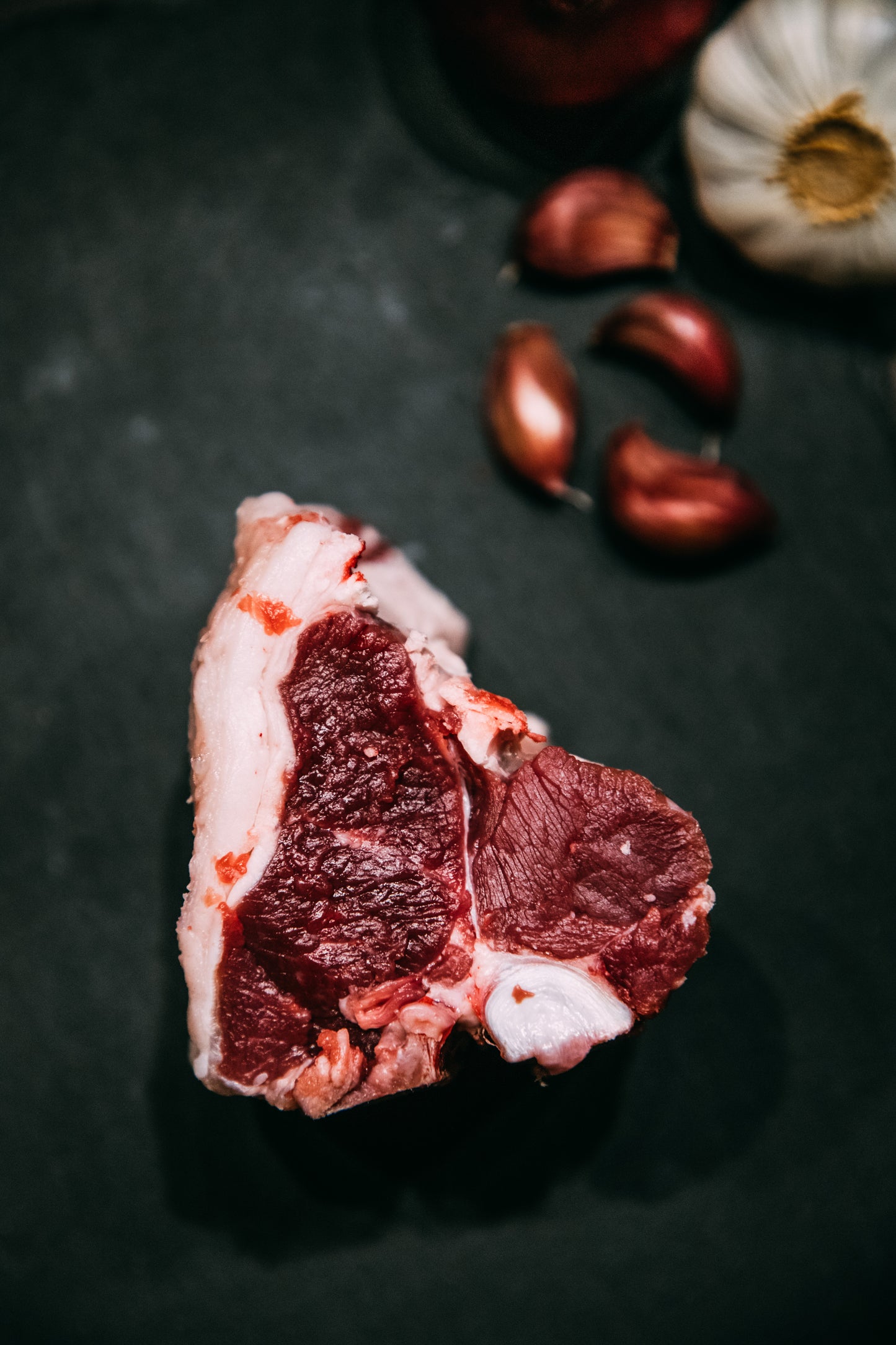T-Bone Cordeiro Dorper