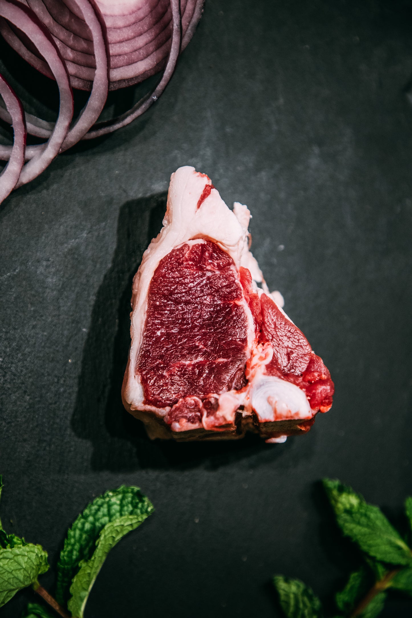 T-Bone Cordeiro Dorper