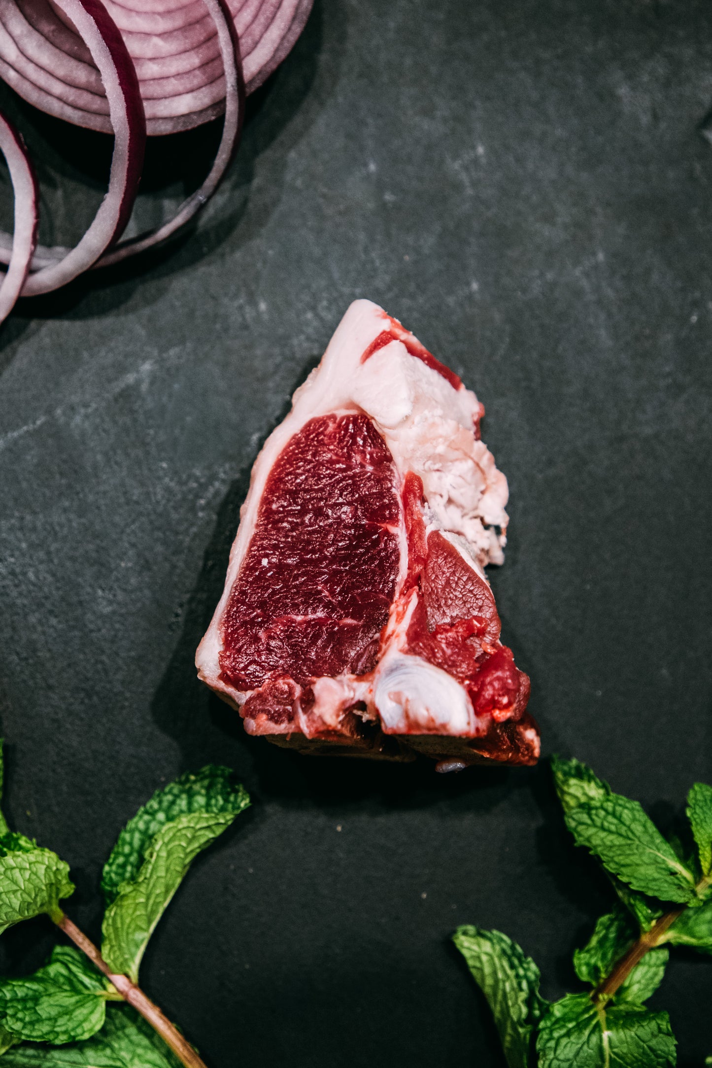 T-Bone Cordeiro Dorper
