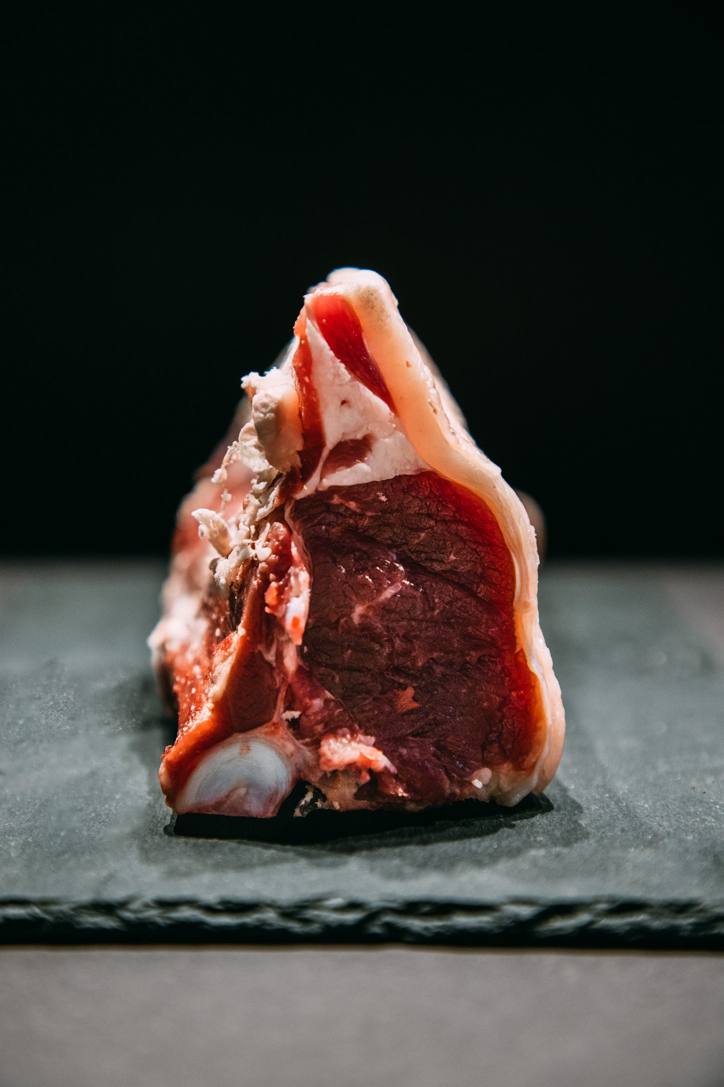 T-Bone Cordeiro Dorper